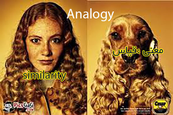 analogy.jpg - 97.31 KB