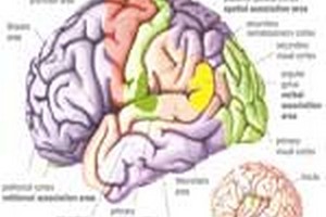 ظرفیت پذیرش ارشد روانشناسی بالینیَ ظرفیت پذیرش کارشناسی ارشد روانشناسی بالینیَ
