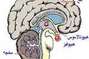 دروس وضرایب روانشناسی بالینی دروس امتحانی وضرایب مربوطه روانشناسی بالینی