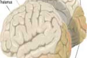 مدارک پذیرش ارشد روانشناسی بالینی مدارک مورد پذیرش کارشناسی ارشد روانشناسی بالینی