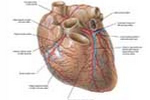 کلاس کنکور کارشناسی ارشدفیزیولوژی (نمایش ویدئویی)