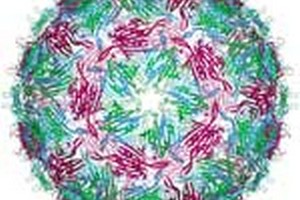 ظرفیت پذیرش ارشد میکروب شناسی ظرفیت پذیرش کارشناسی ارشد میکروب شناسی