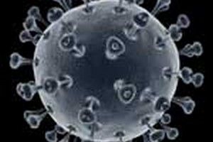 مدارک ارشد ایمنی شناسی مدارک مورد پذیرش کارشناسی ارشدایمنی شناسی