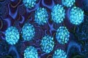 دروس امتحانی و ضرایب میکروب شناسی مواد غذایی دروس امتحانی و ضرایب میکروب شناسی مواد غذایی