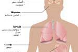 دروس و ضرایب ارشد فیزیولوژی دروس امتحانی و ضرایب کارشناسی ارشد فیزیولوژی