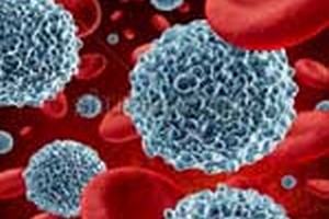 برنامه ریزی آموزشی دکتری ایمنی شناسی برنامه ریزی آموزشی دکتری ایمنی شناسی