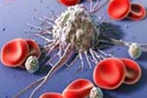 مدارک پذیرش ارشد خون شناسی مدارک مورد پذیرش کارشناسی ارشد خون شناسی