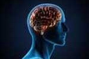ظرفیت پذیرش کارشناسی ارشد علوم تشریح