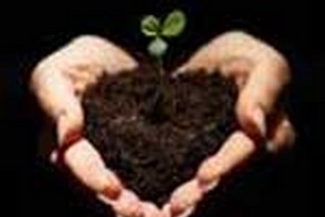 مدارک پذیرش ارشد HSE مدارک مورد پذیرش کارشناسی ارشدمدیریت سلامت-ایمنی ومحیط زیستHSE