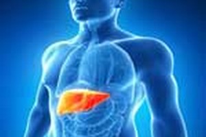 طرح درس ارشد علوم تشریحی (آناتومی) طرح درس کارشناسی ارشد علوم تشریحی (آناتومی)