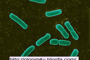 درباره رشته ارشد ایمنی شناسی پزشكی درباره رشته کارشناسی ارشد ایمنی شناسی پزشكی