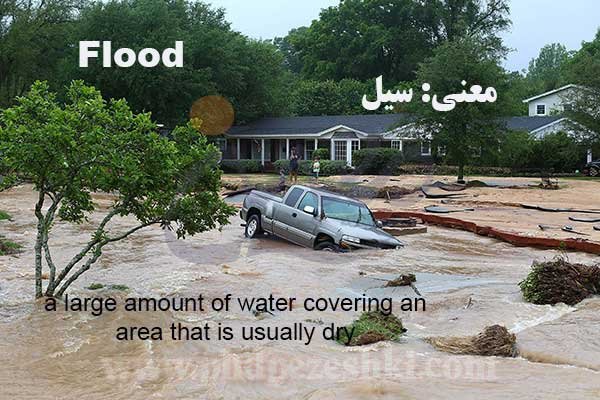Flood 