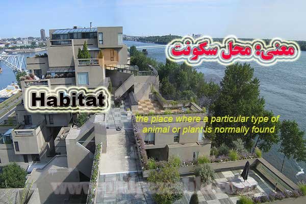 Habitat