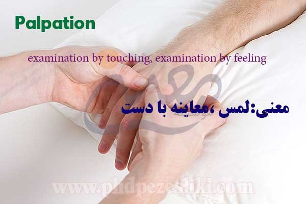 Palpation 